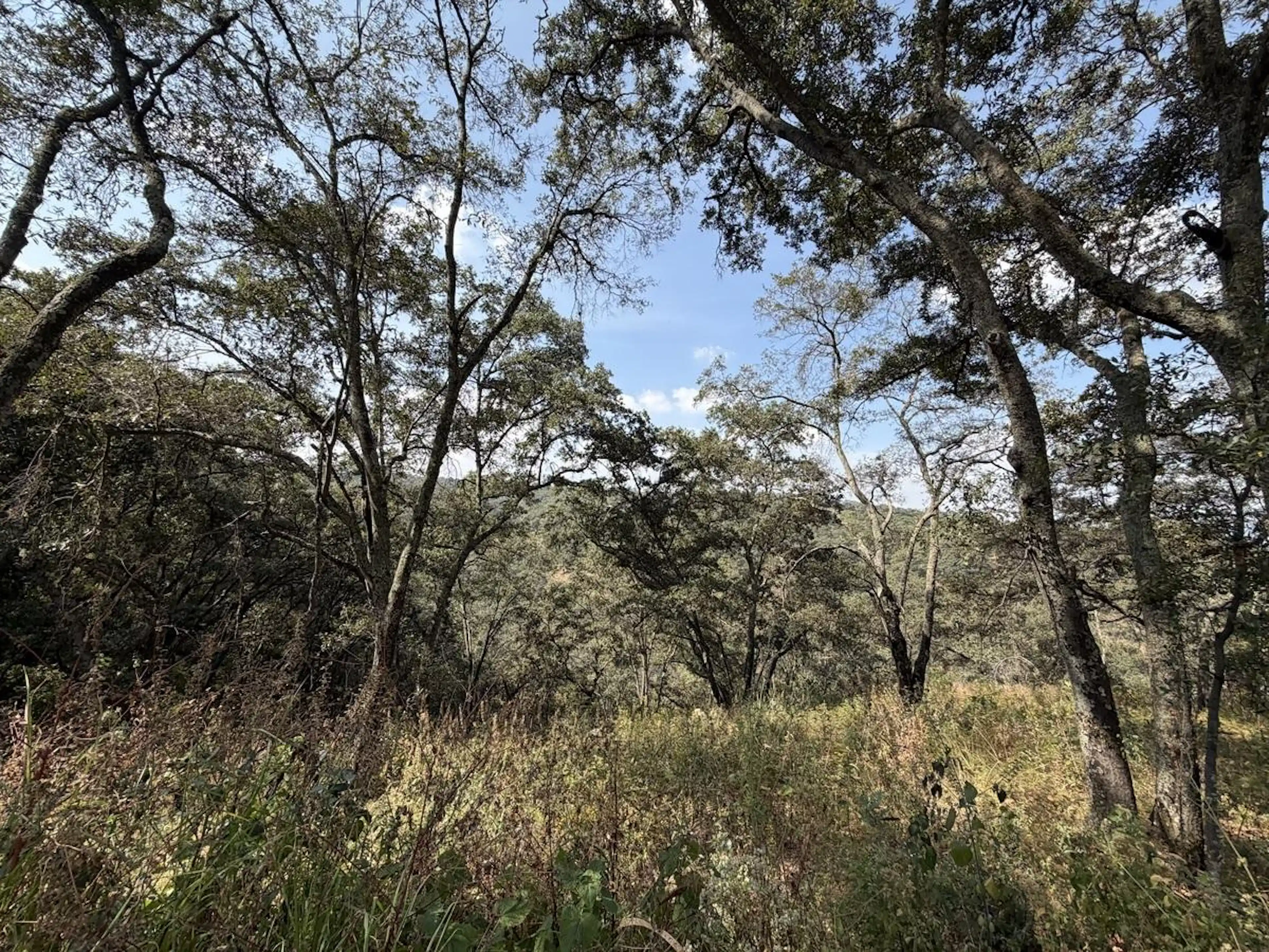 VENTA DE TERRENO EN FRACC. RESID. CAMPESTRE LT 129, MZ 06, DE VILLA DEL CARBÓN