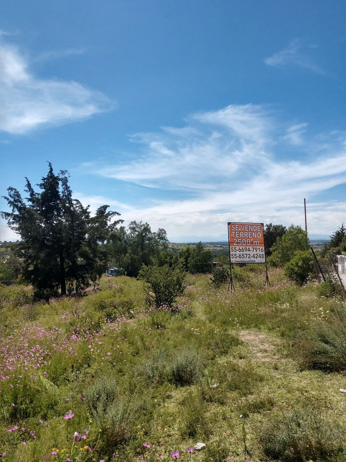 Terreno Spot2
