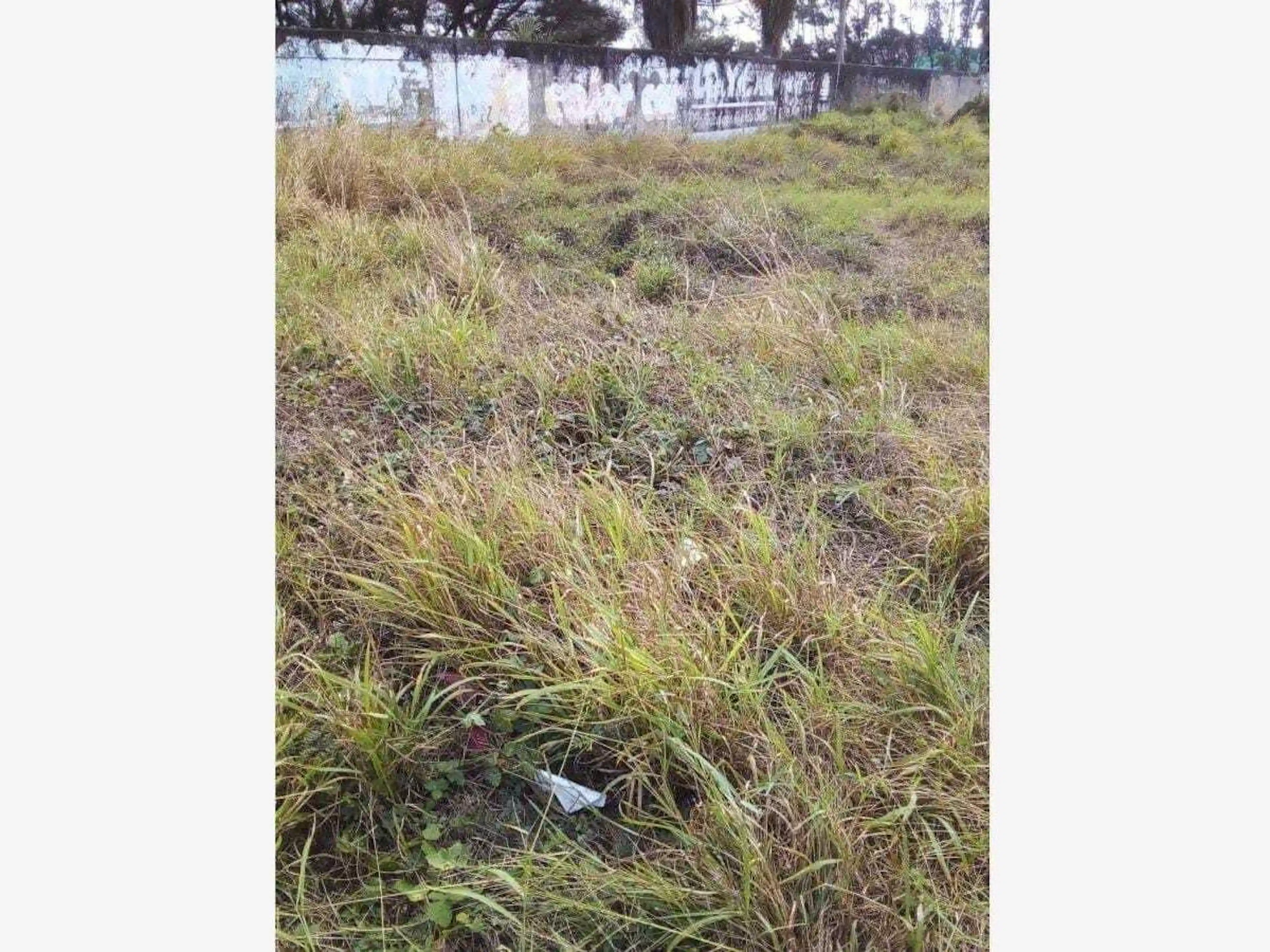Terreno en venta y renta en Jardines de Mocambo, Boca del Río, Veracruz de Ignacio de la Llave