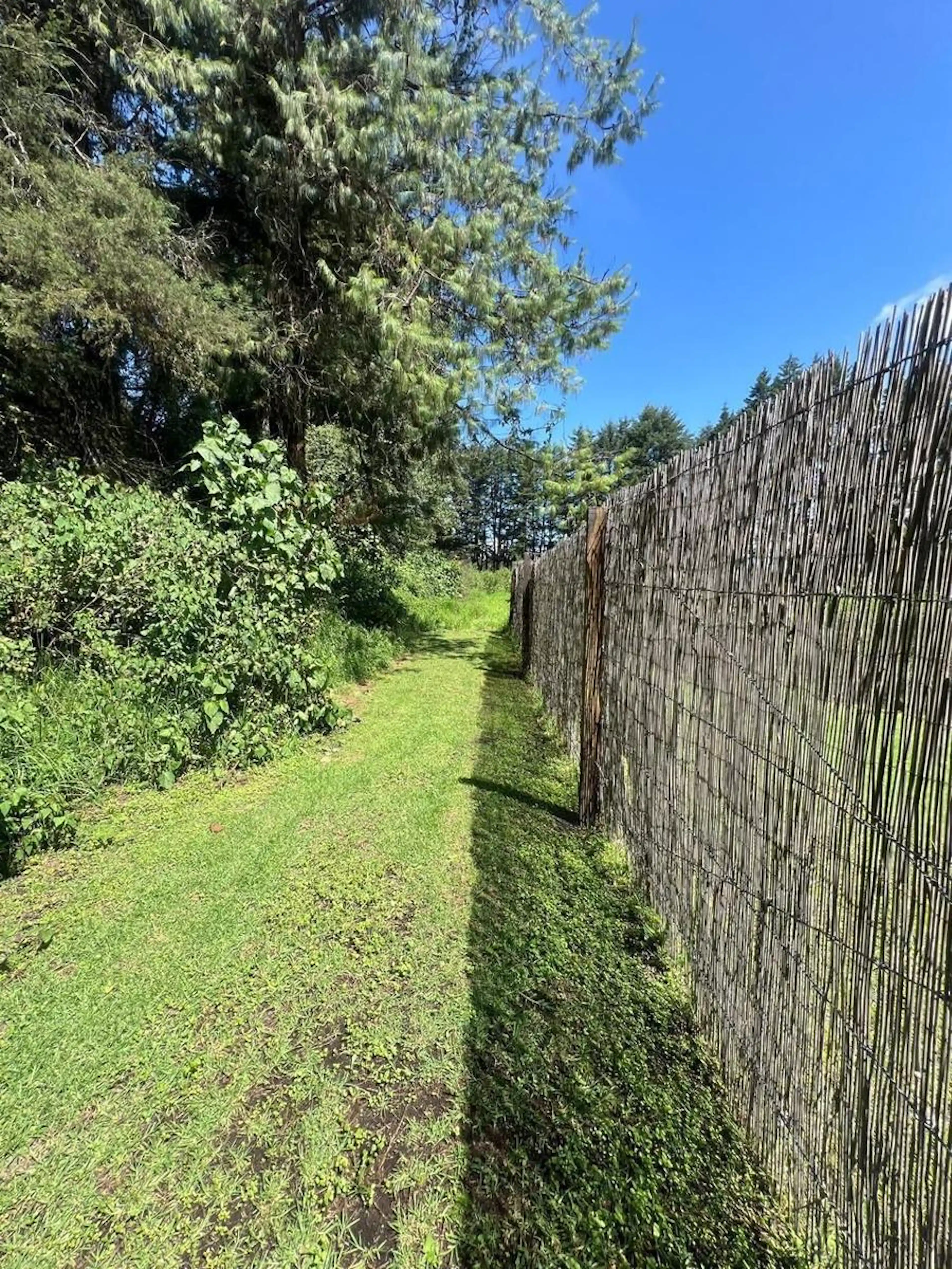 Terreno Semiplano para desarrollar en El Fresno