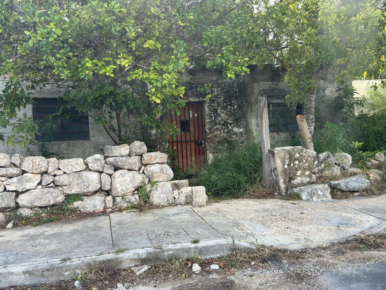 Terreno Spot2
