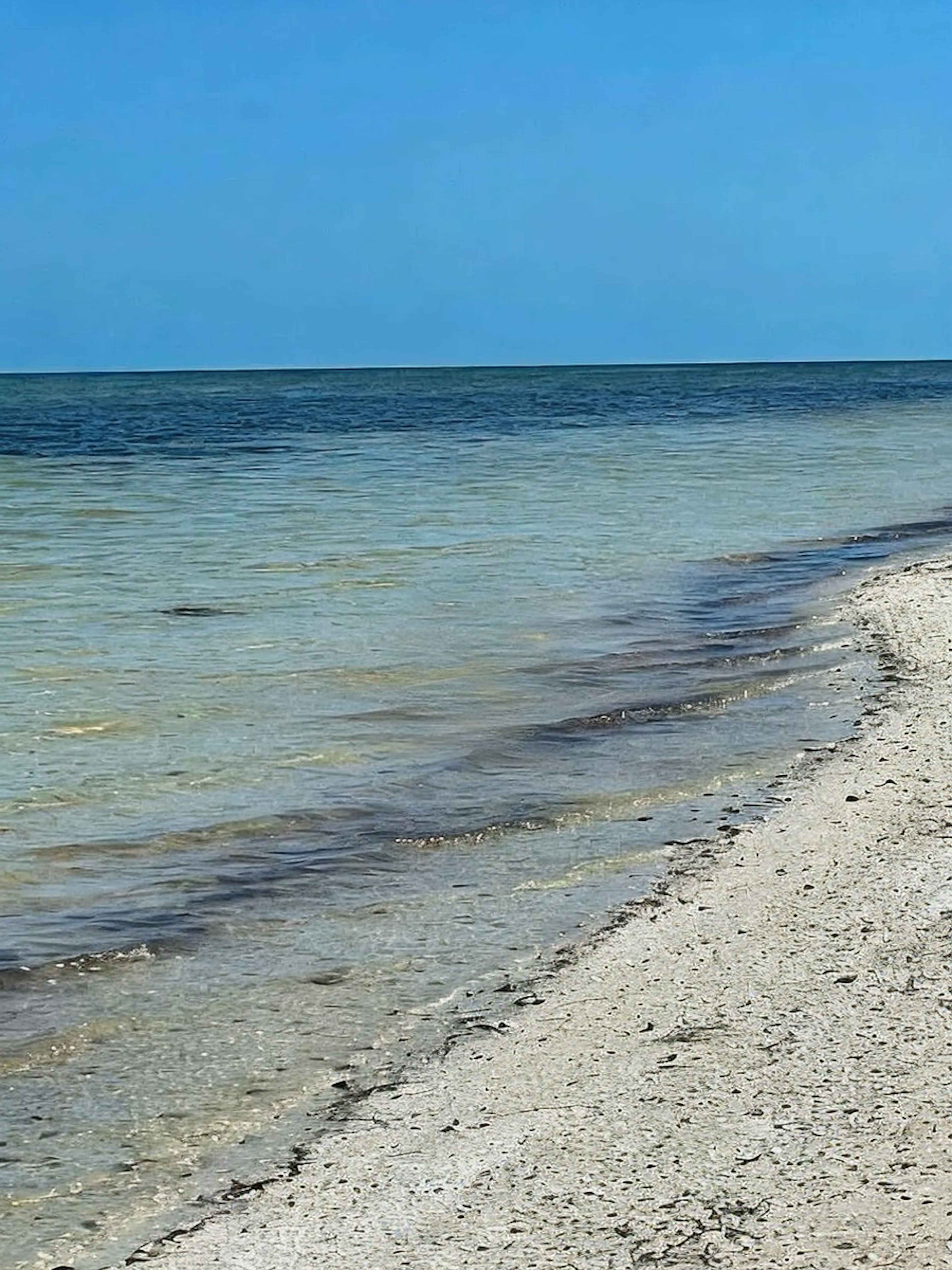 Venta Terreno En La Playa De Chabihau, Yobain Yucatan