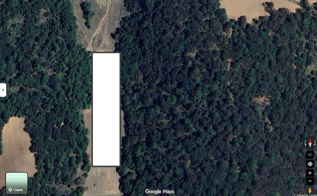 Terreno Spot2