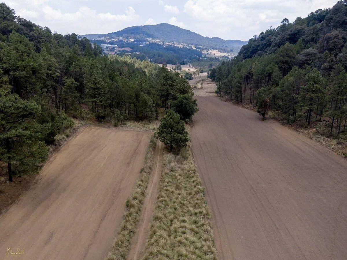 Terreno Spot2