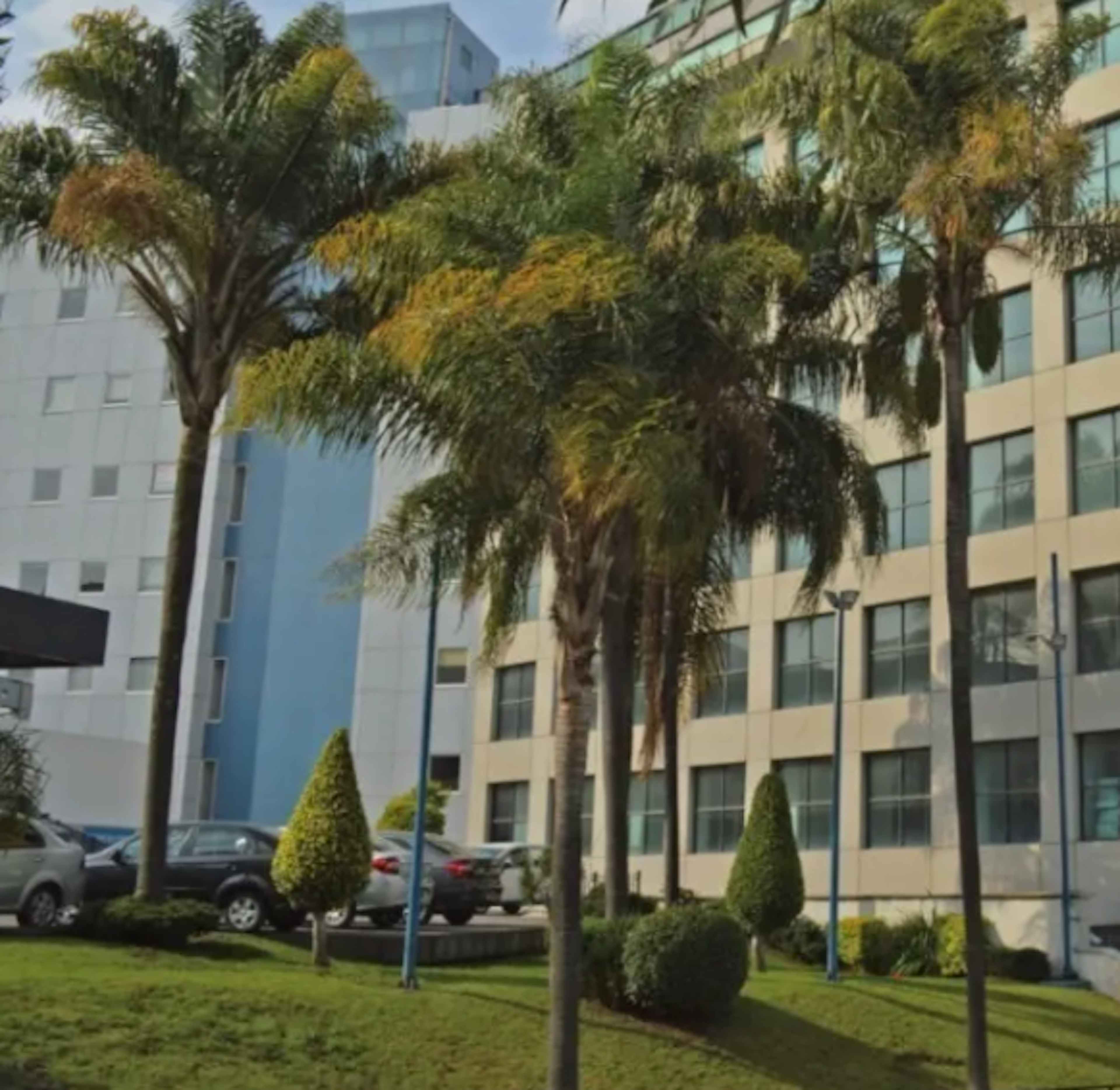 Avenida Lomas Anáhuac 257