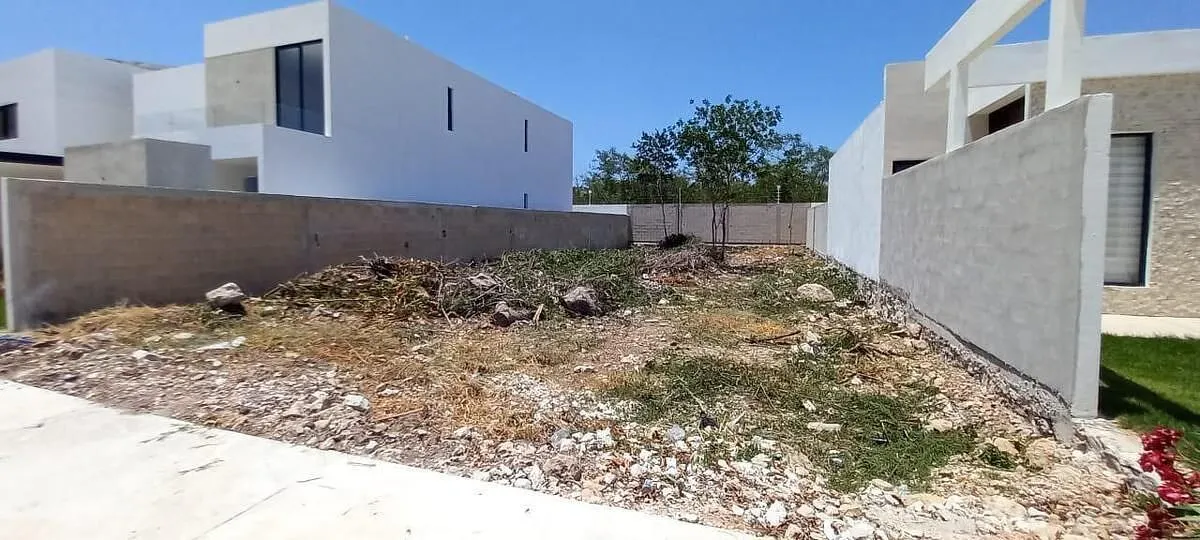 Terreno Spot2
