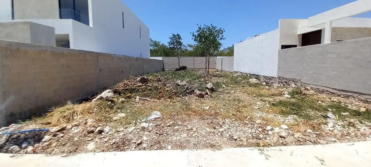 Terreno Spot2