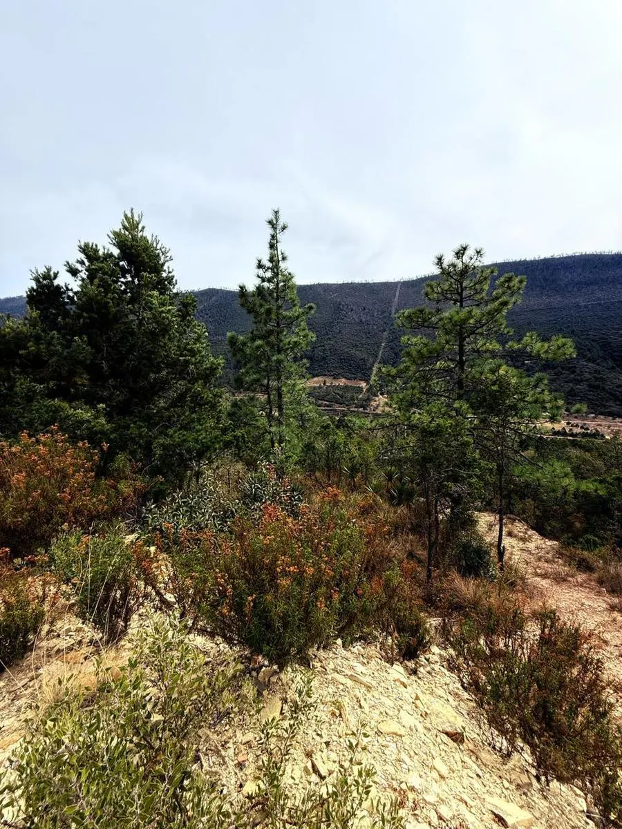 Terreno Spot2