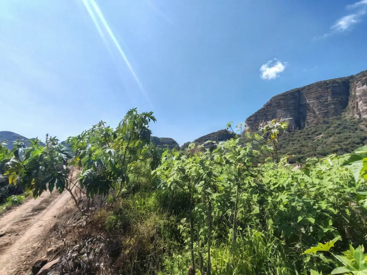 Terreno Spot2