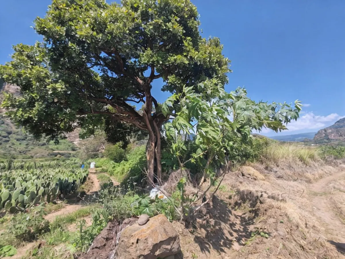 Terreno Spot2
