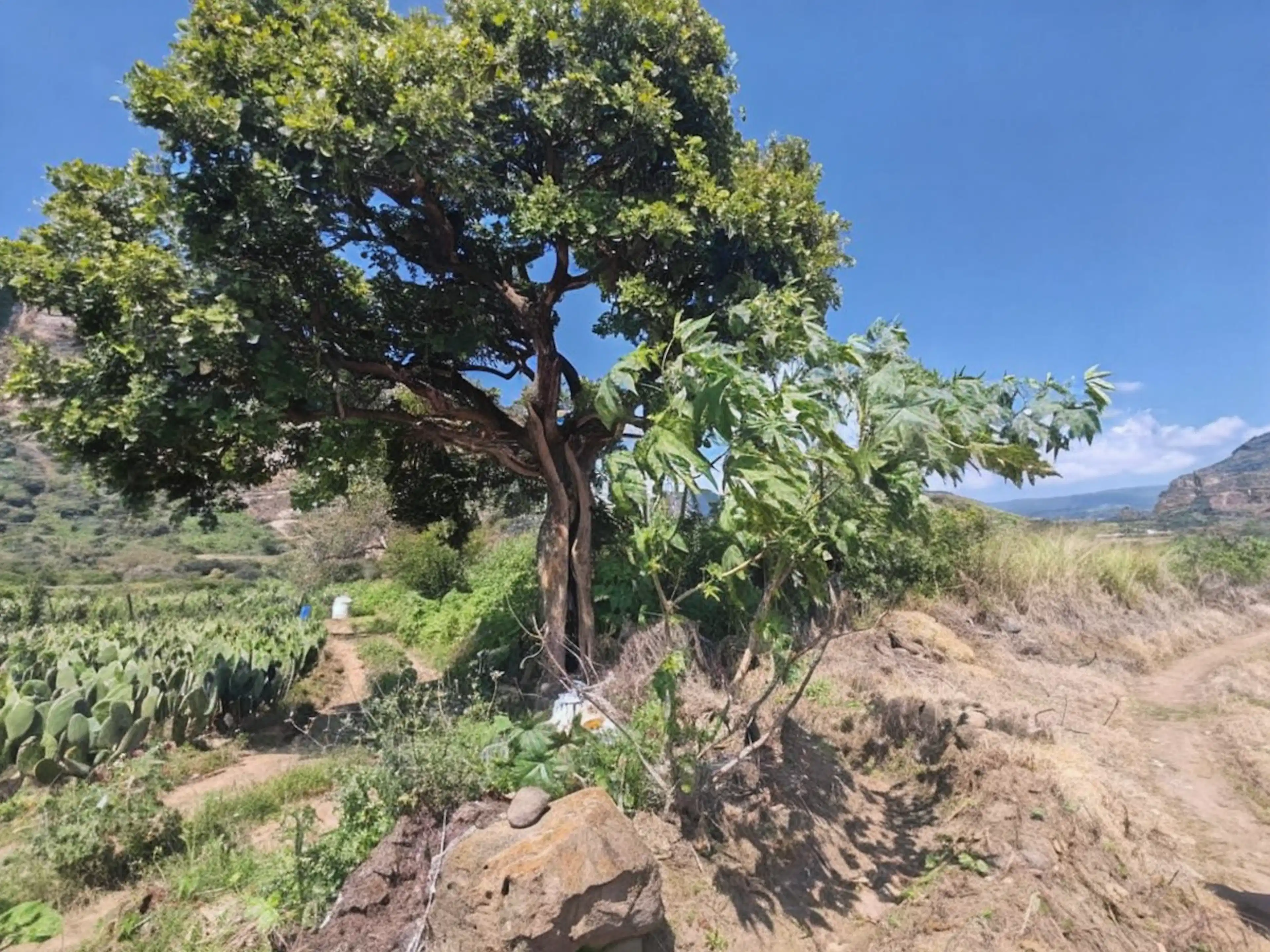 Terreno Con Una Gran Vista En Cruz Blanca, Tlayacapan Morelos