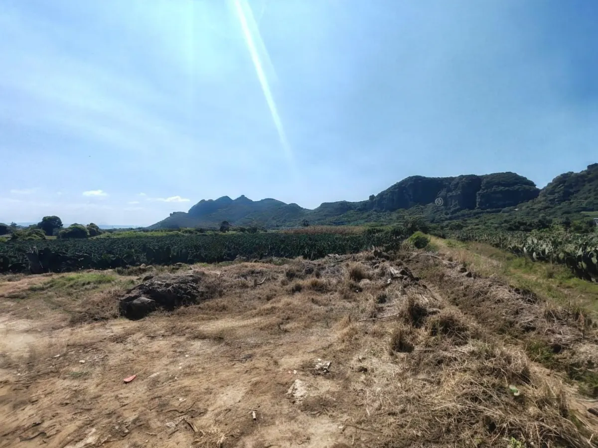 Terreno Spot2
