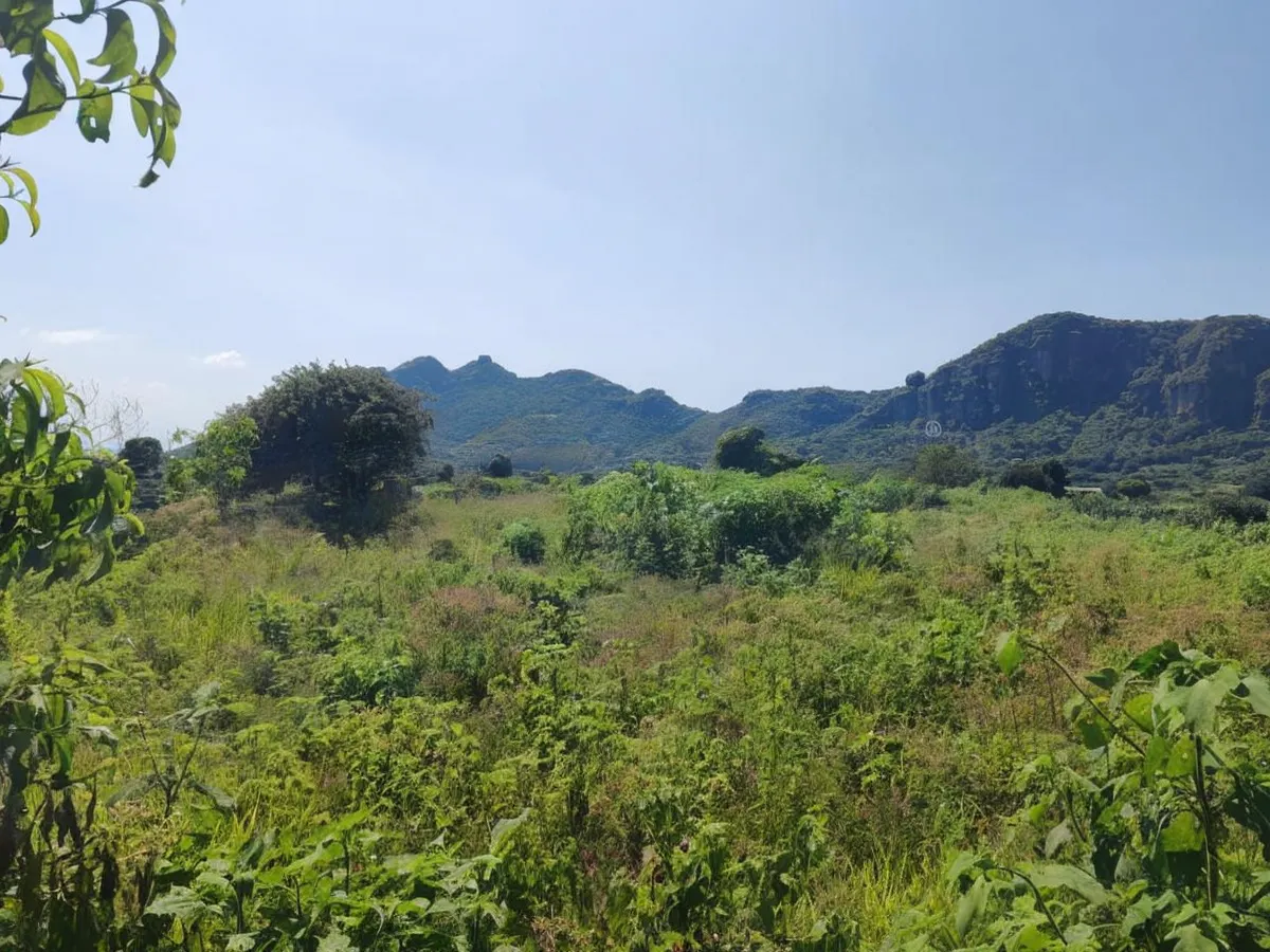 Terreno Spot2