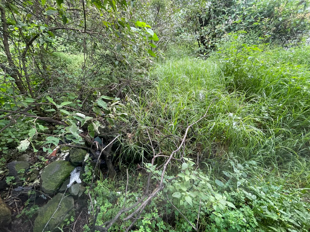 Terreno Spot2