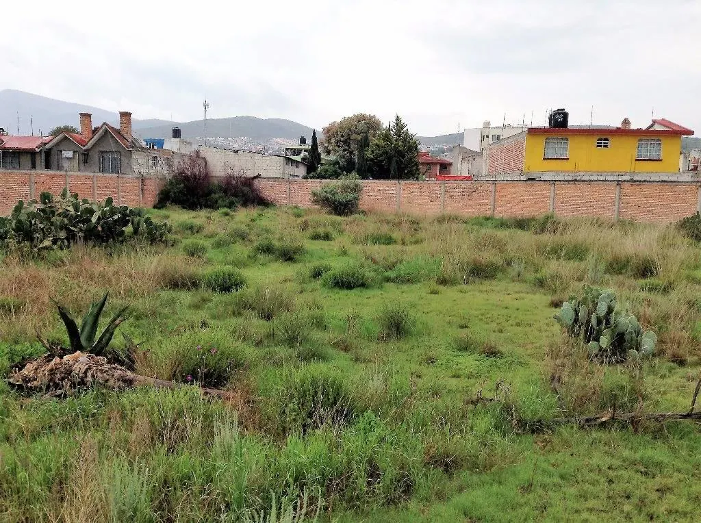 Terreno Spot2