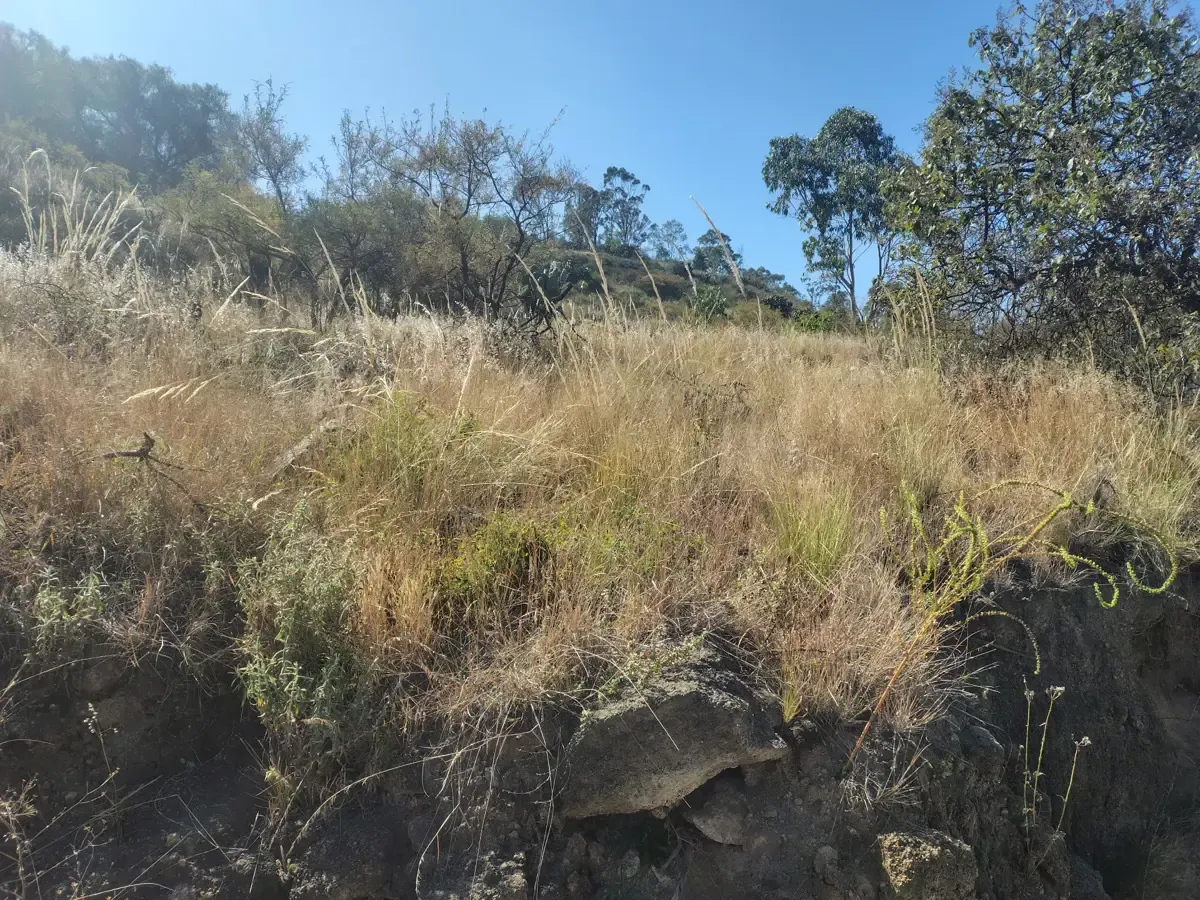 Terreno Spot2