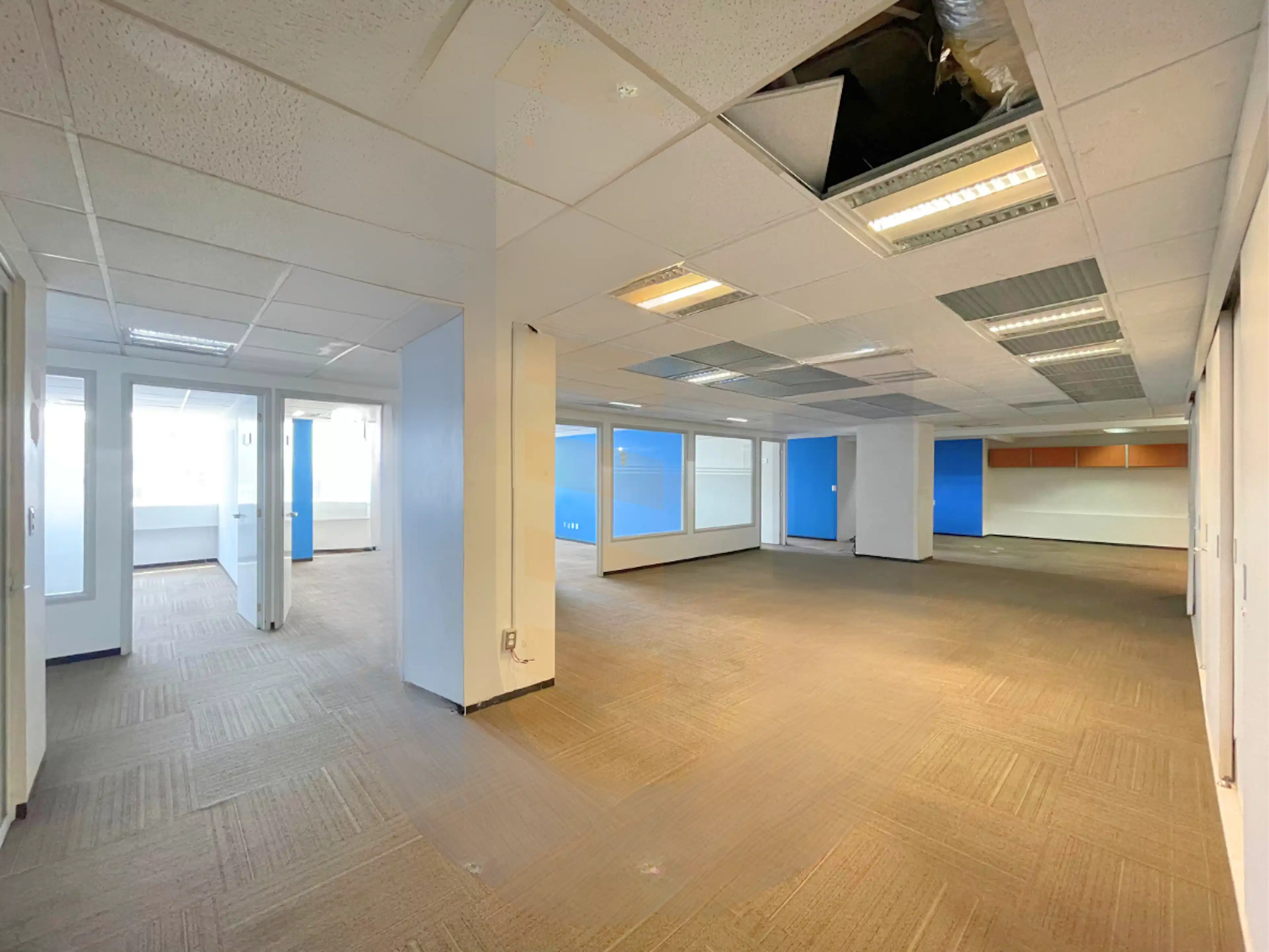 Oficina sobre Av. Insurgentes Sur | 450 m² | Renta