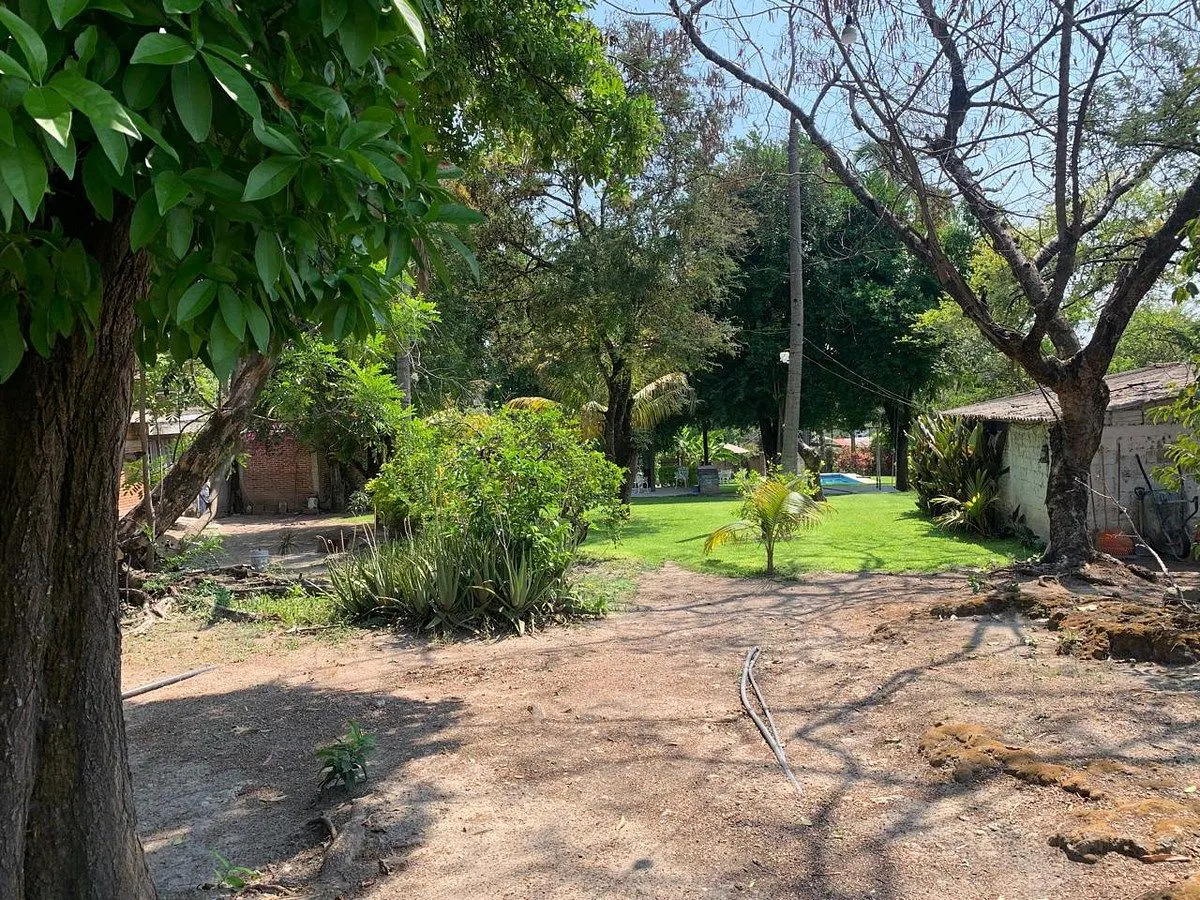 Terreno Spot2