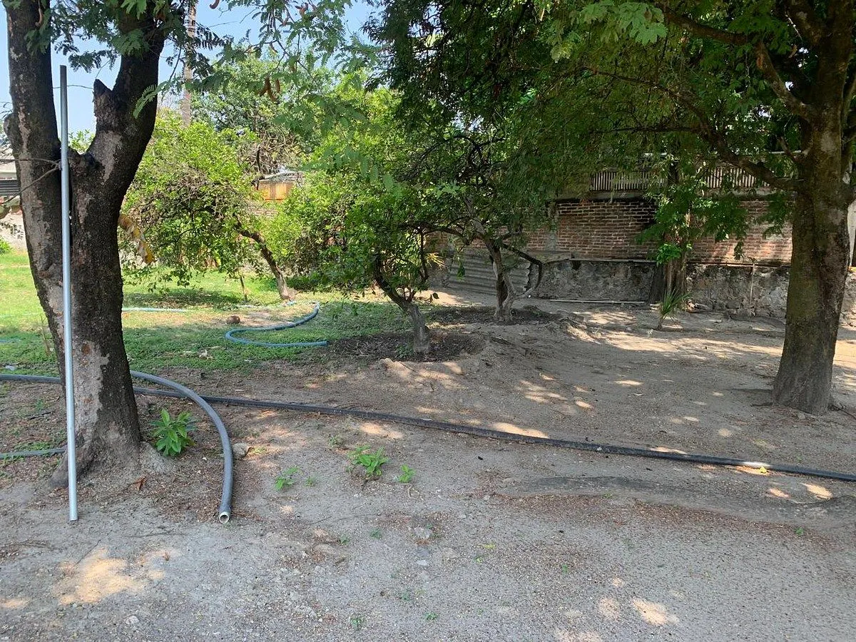 Terreno Spot2