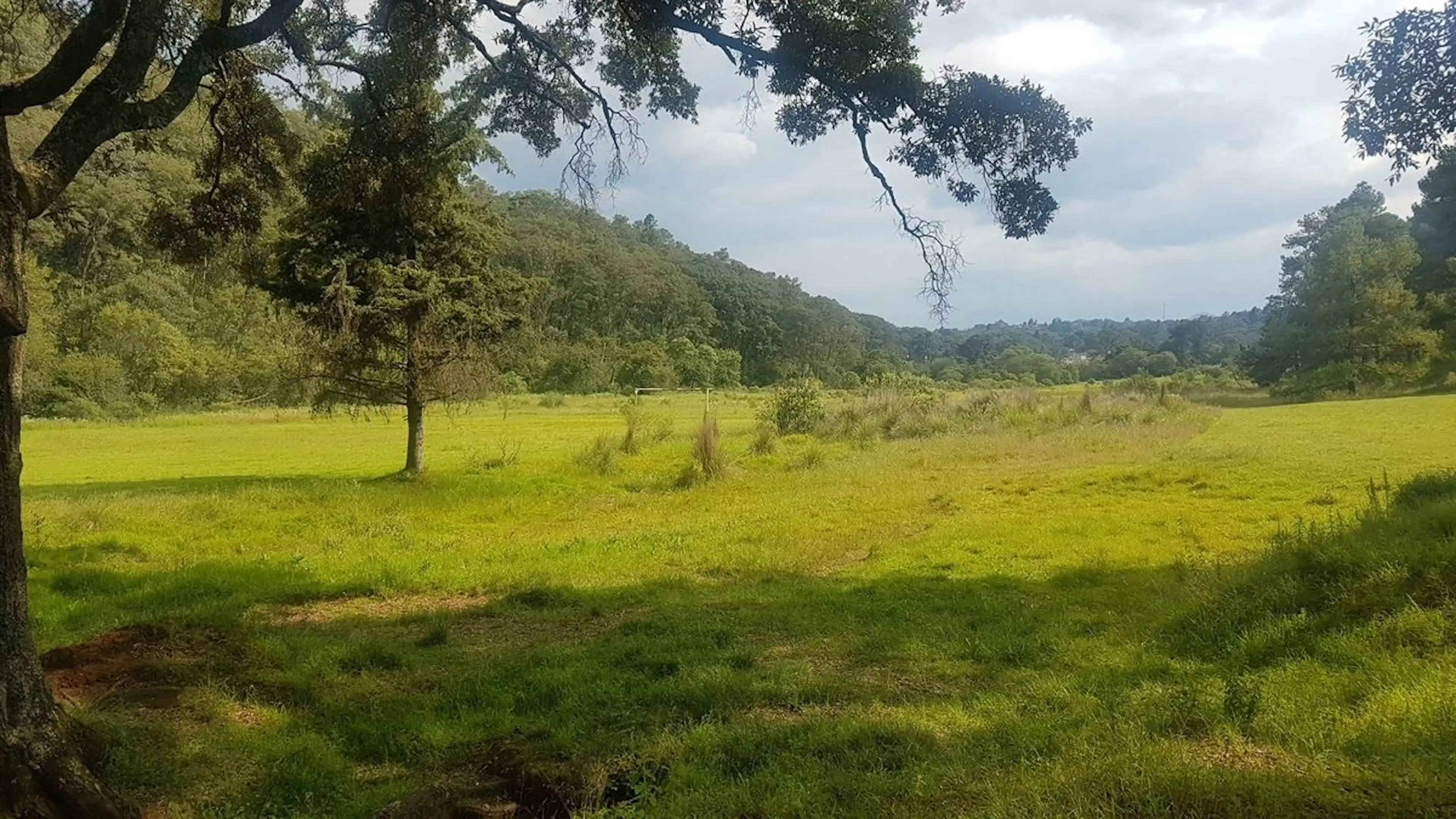 Terreno En Venta O Renta Por Sección Para Desarrollo Habitacional O Industrial