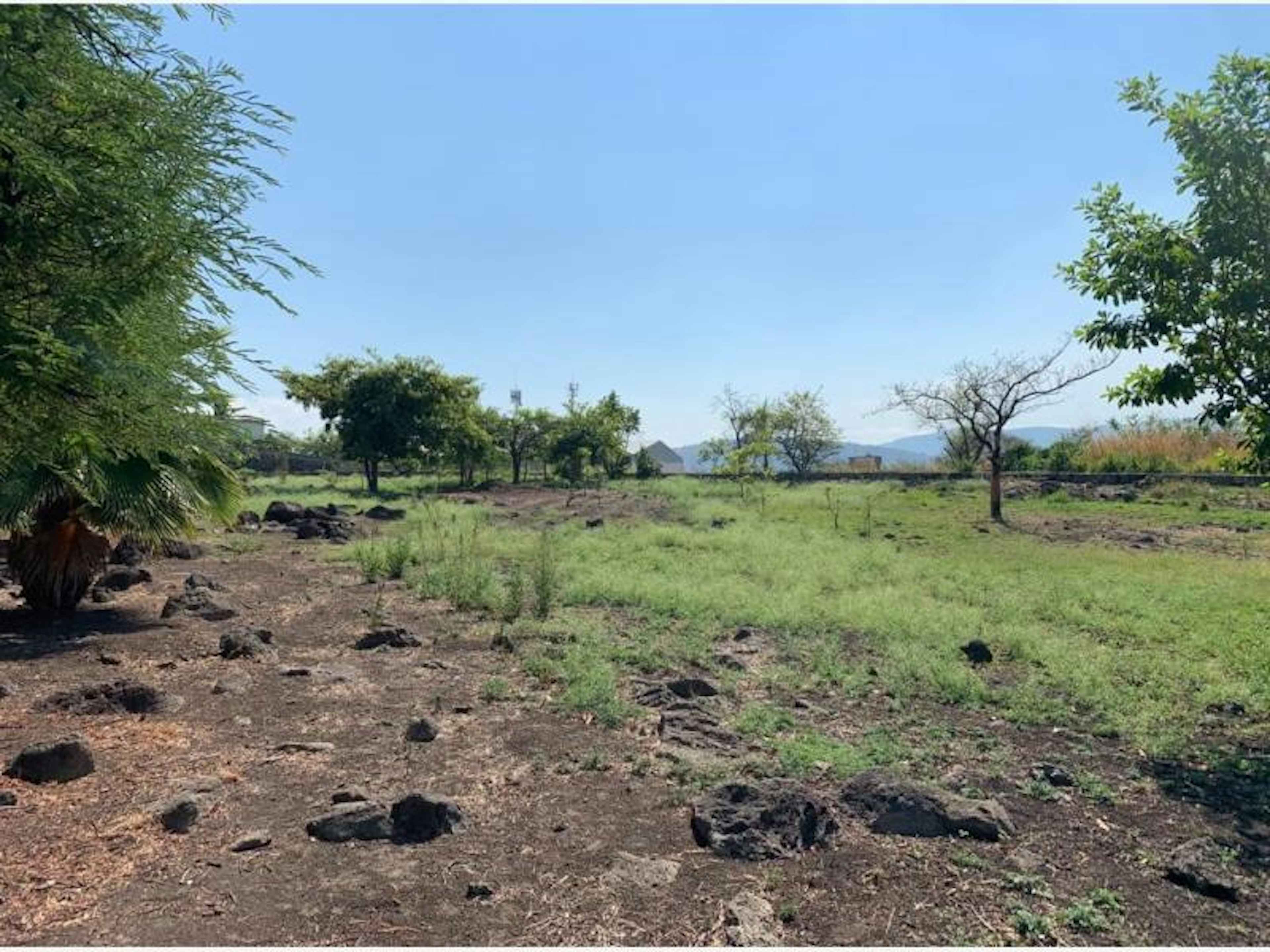 Terreno En Venta En Benito Juarez, Emiliano Zapata, Morelos