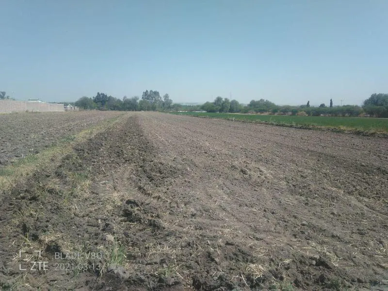 Terreno Spot2