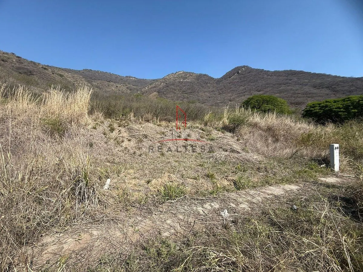 Terreno Spot2