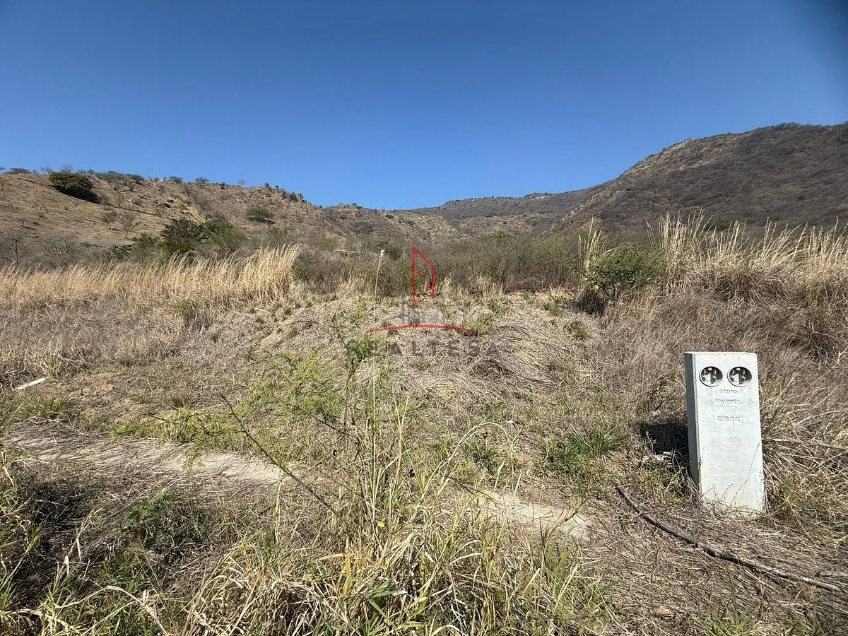 Terreno Spot2