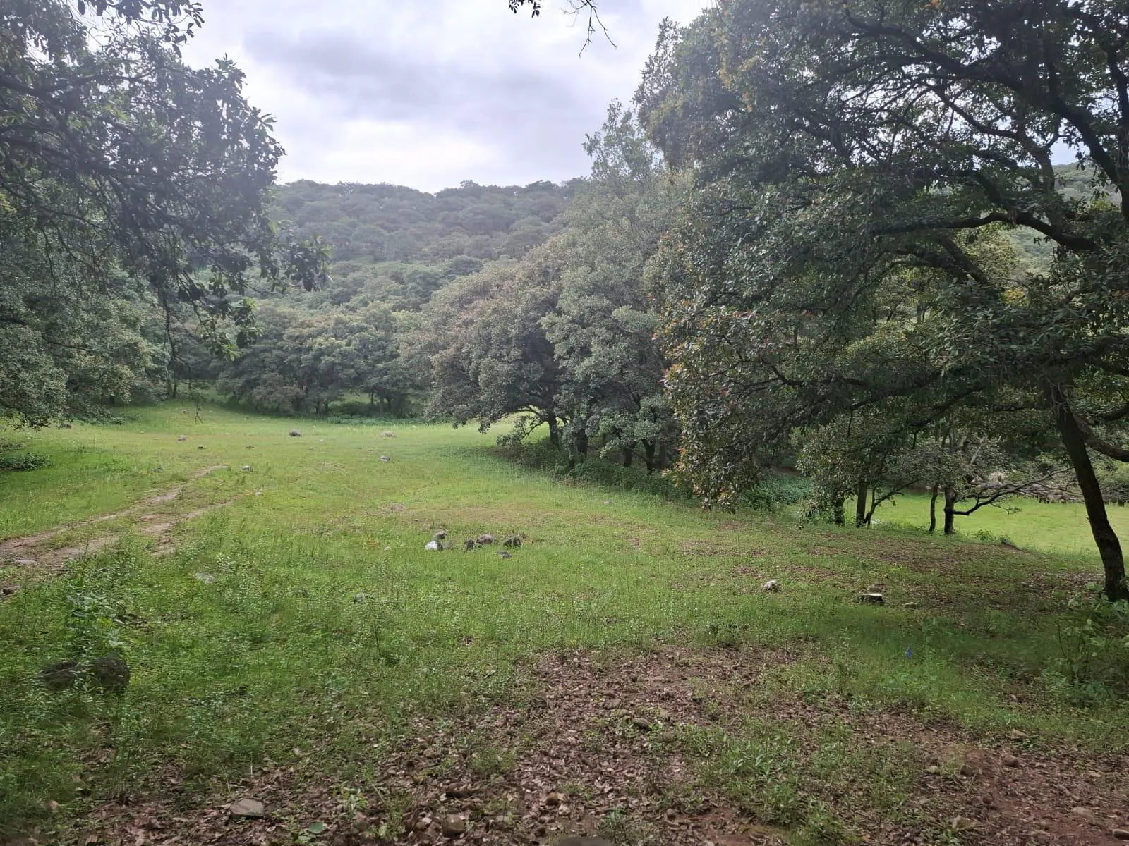 Terreno Spot2
