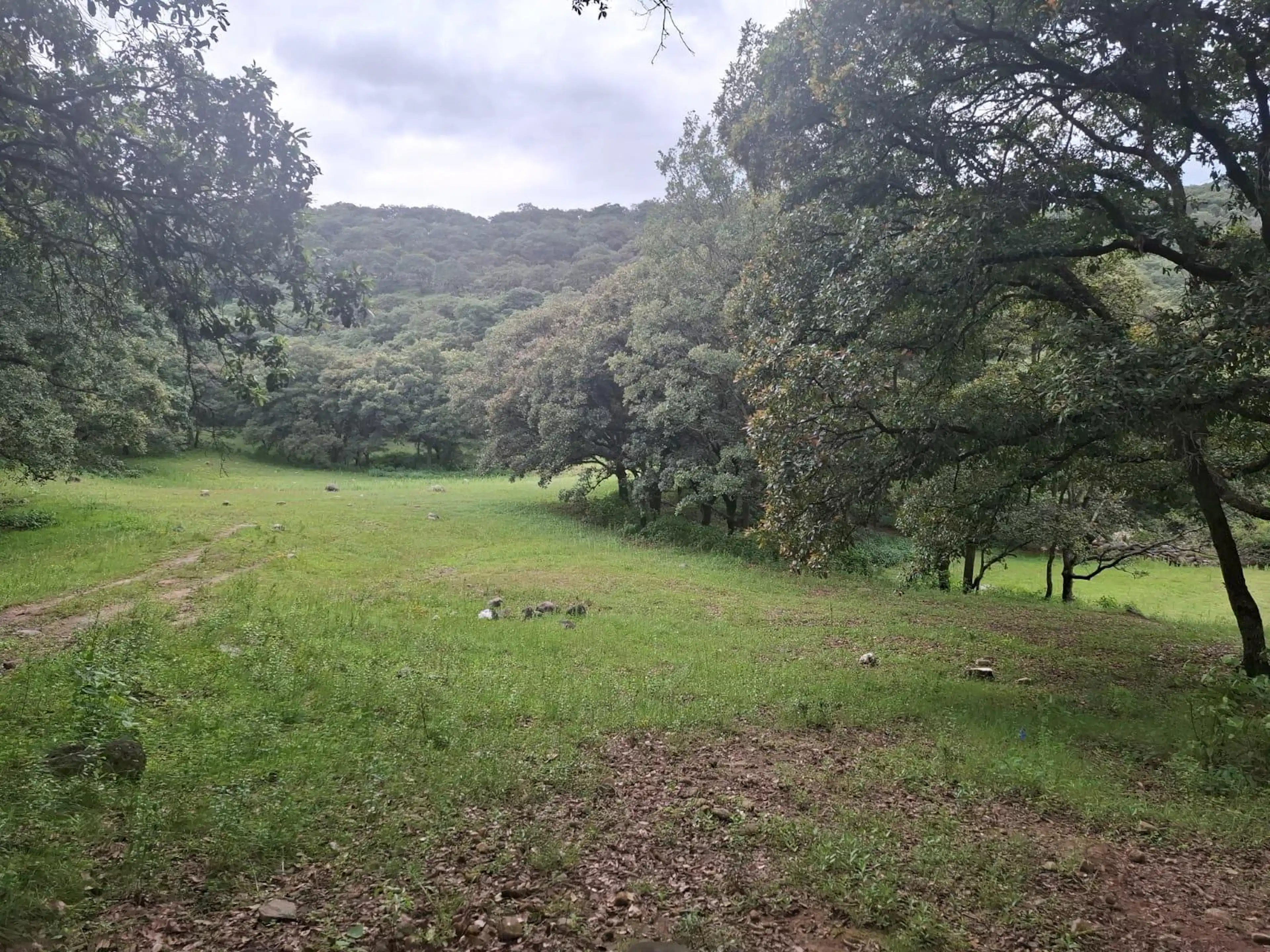 VENTA TERRENO FRACCIONAMIENTO CAMPESTRE LOTE 112, MZN VI