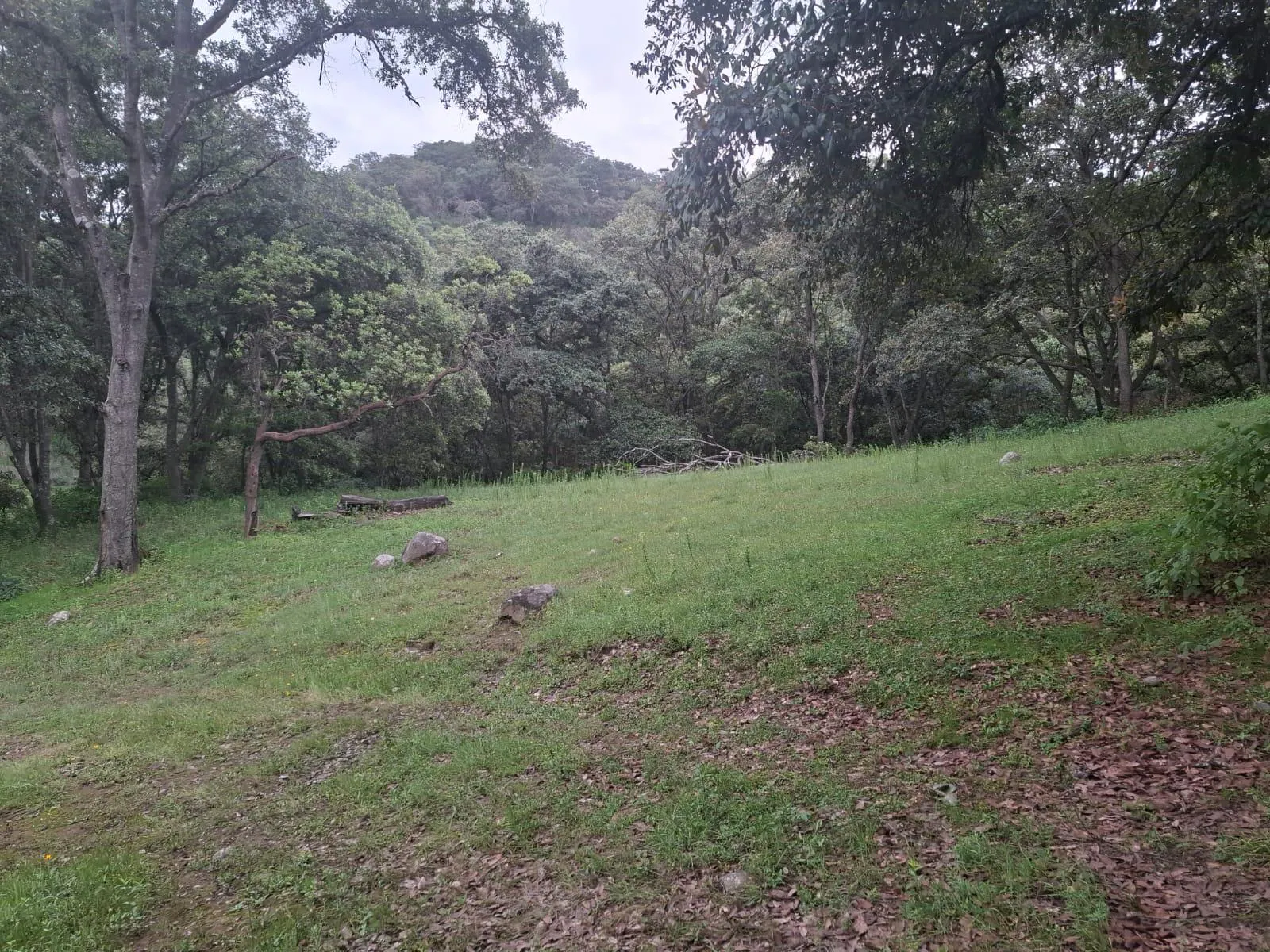 Terreno Spot2