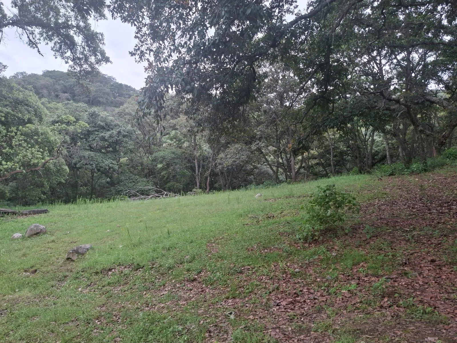 Terreno Spot2