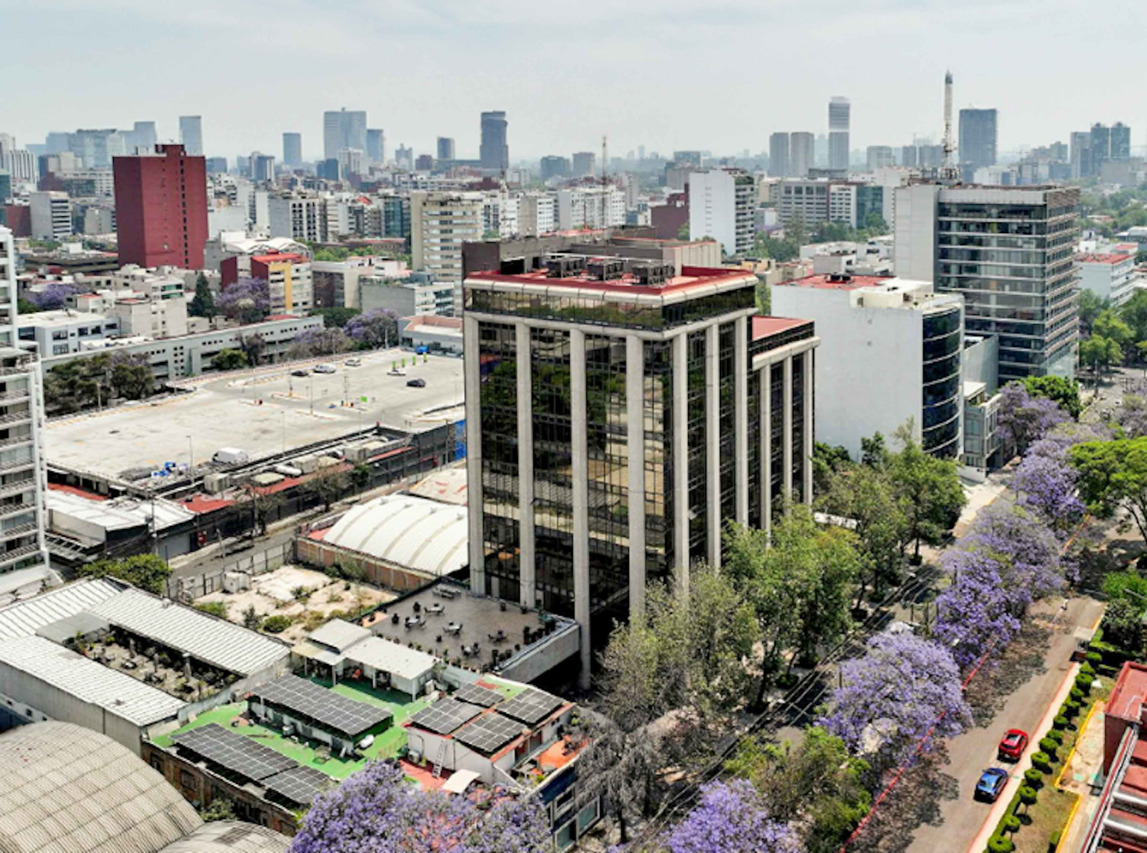 Lago Victoria Polanco