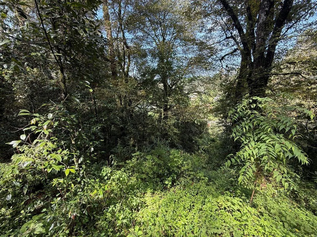 Terreno Spot2