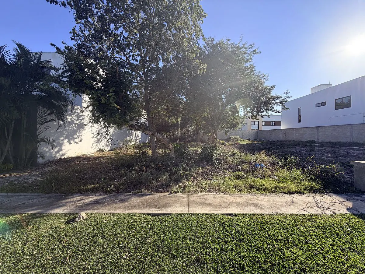 Terreno Spot2