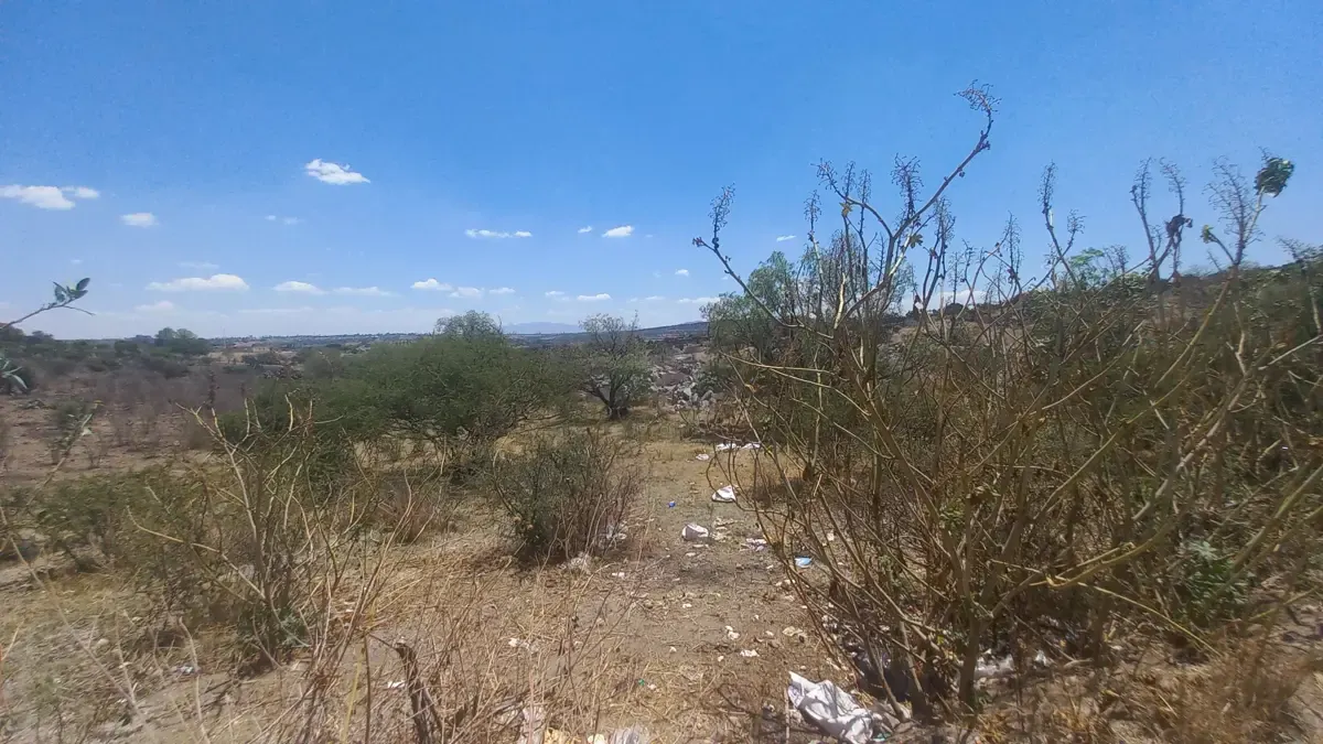 Terreno Spot2