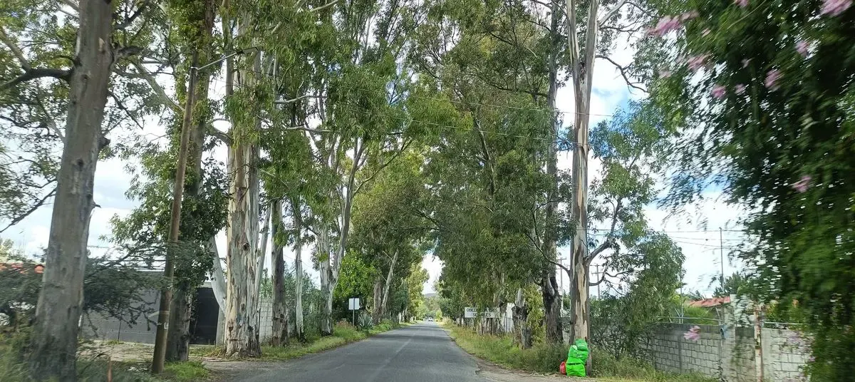 Terreno Spot2