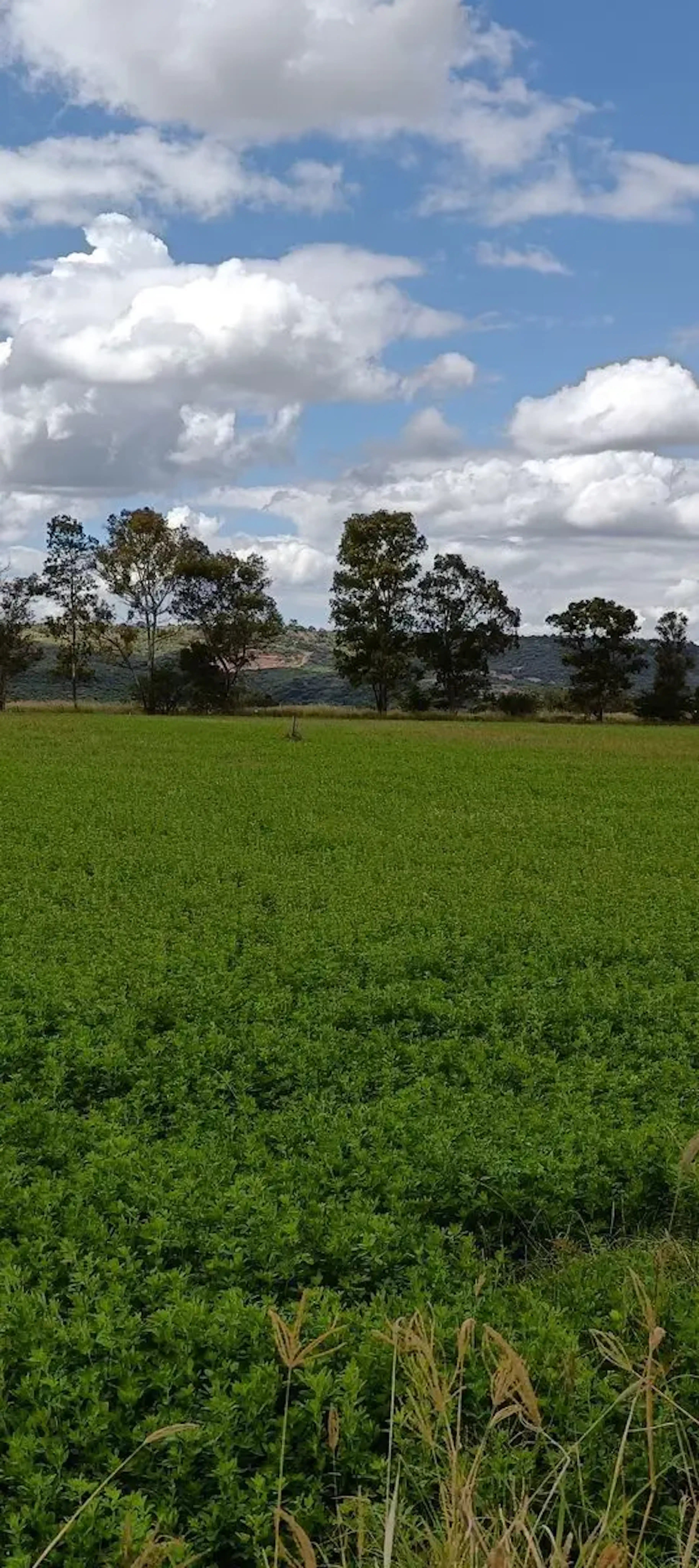 Terreno En Venta En Purisima De San Rafael, Corregidora, Querétaro