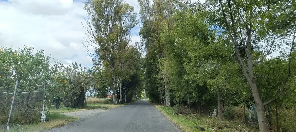 Terreno Spot2