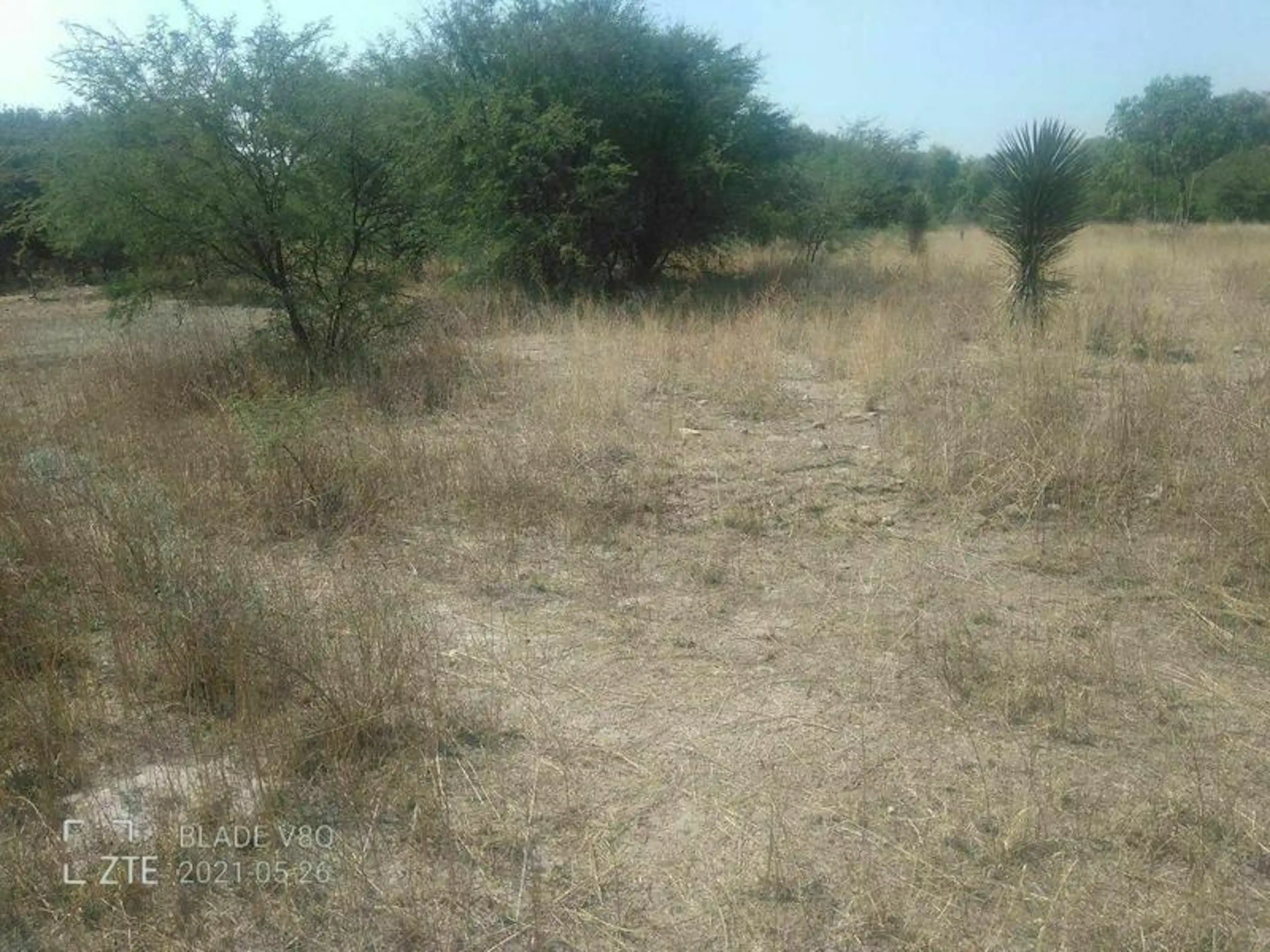 Venta De Terreno En San Luis De Letras, Pabellón De Artega, Aguascalientes.