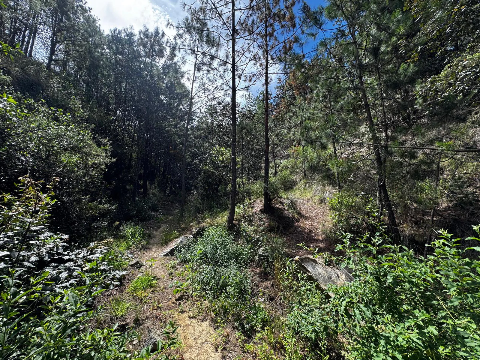 Terreno Spot2