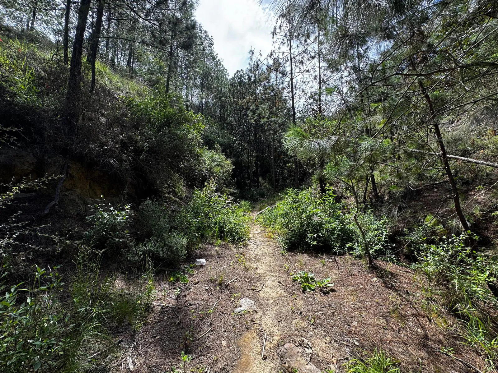 Terreno Spot2