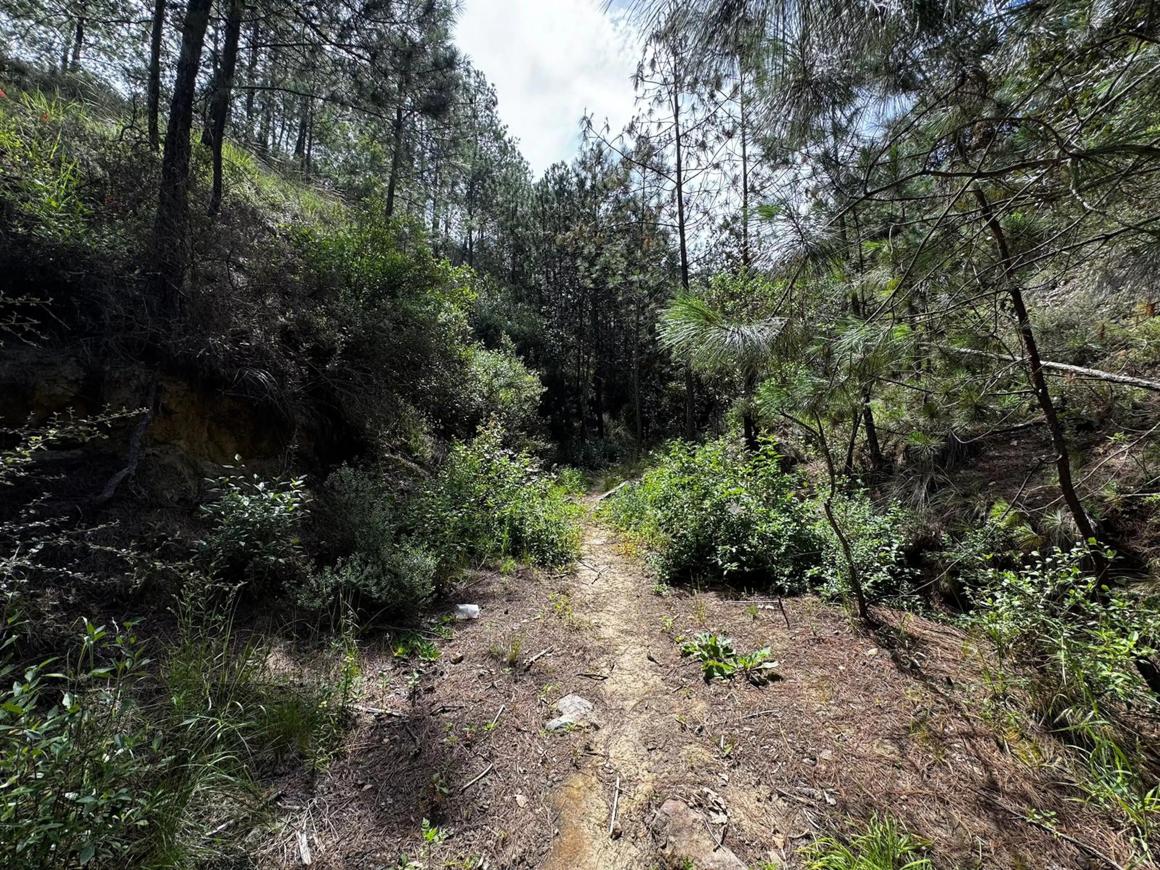 Terreno En Venta En  Perote En La Zona Antigua Normal