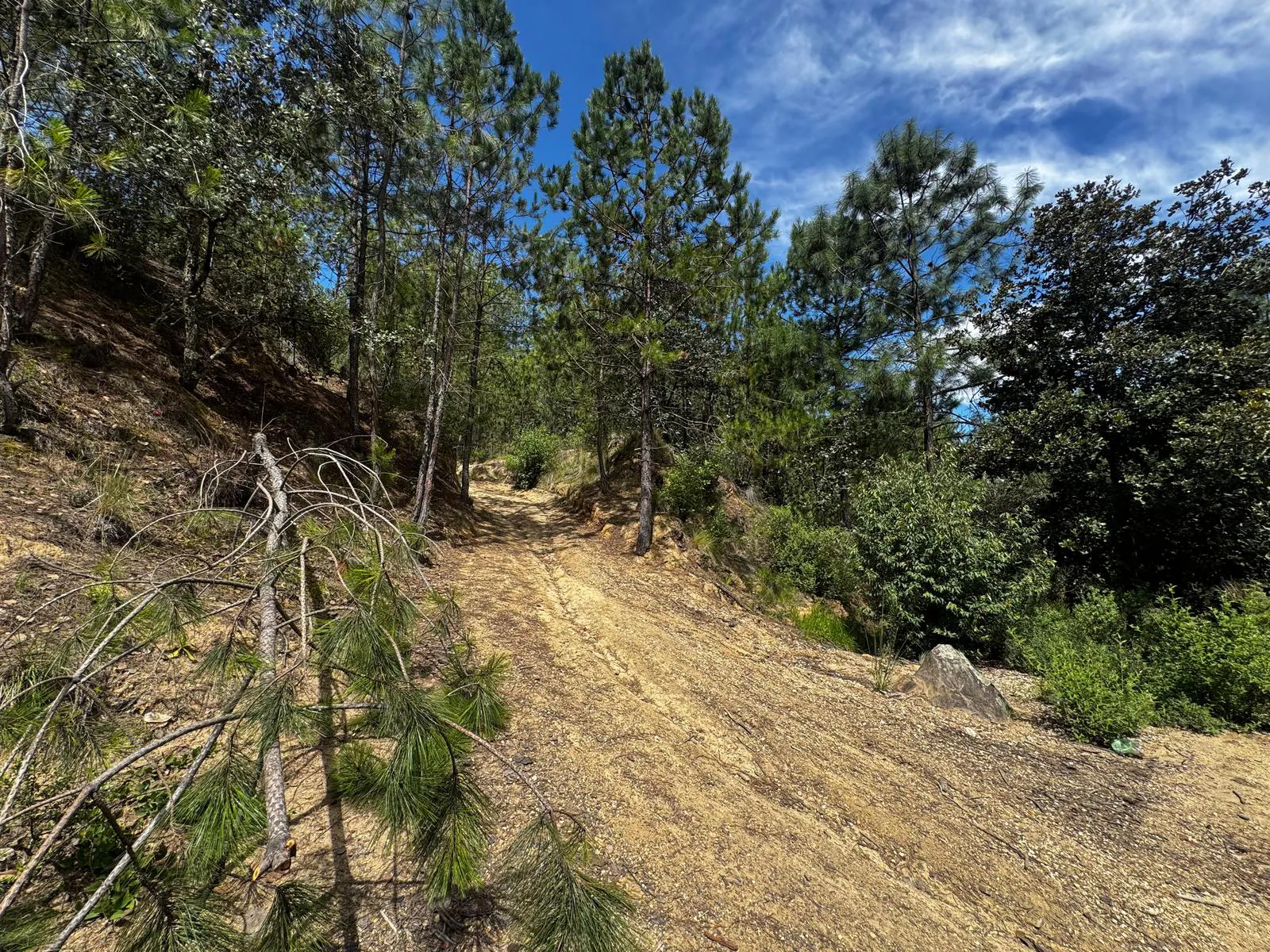 Terreno Spot2