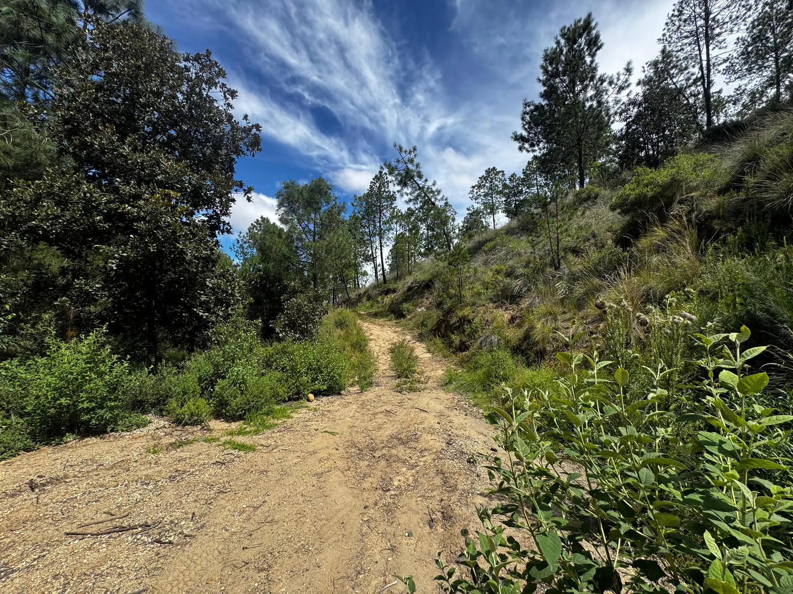 Terreno Spot2