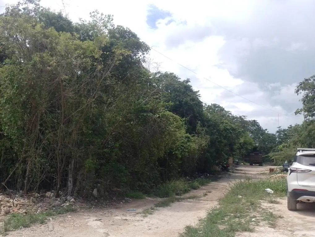 Terreno Spot2