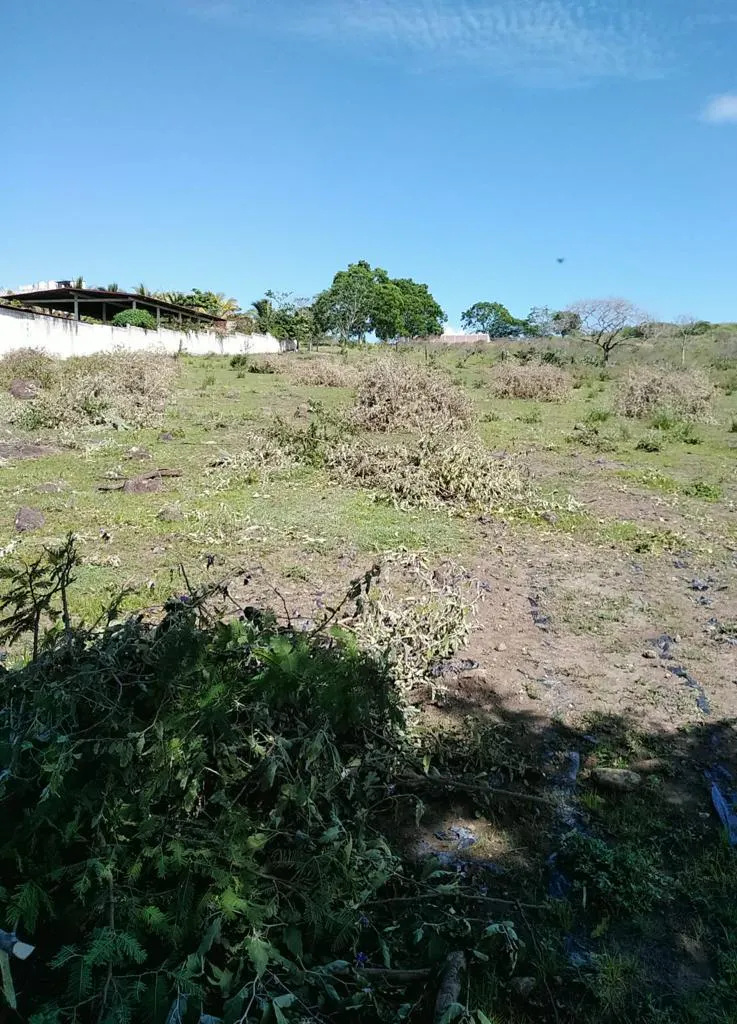 Terreno Spot2