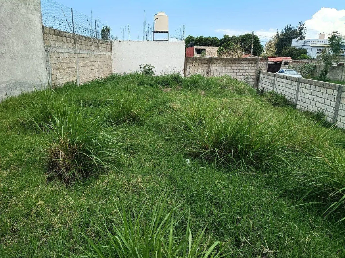 Terreno Spot2