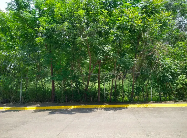 Terreno Spot2
