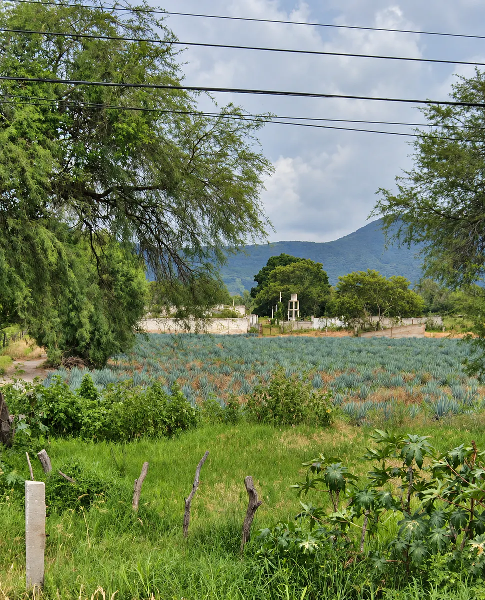 Terreno Spot2